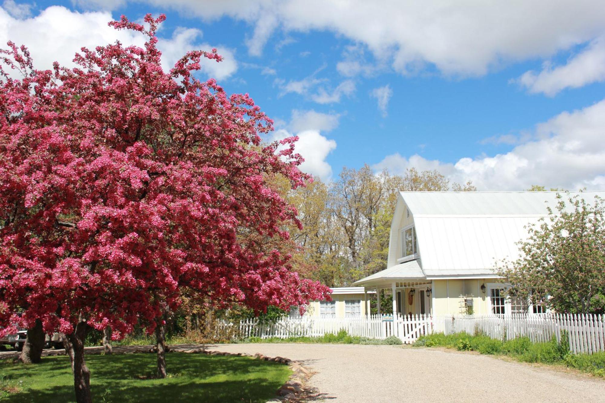 Blue Lake Ranch Hesperus Exterior photo