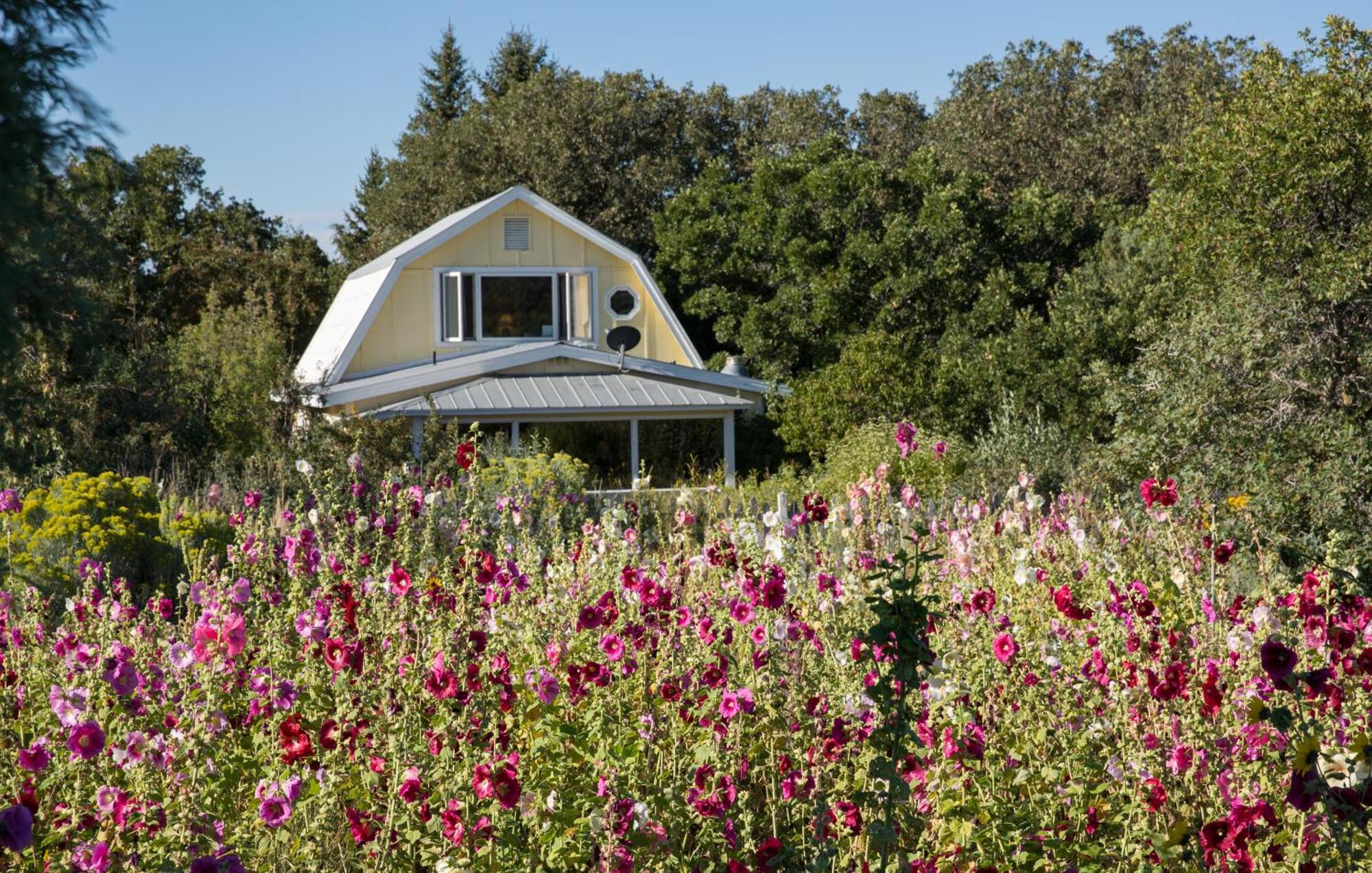 Blue Lake Ranch Hesperus Exterior photo